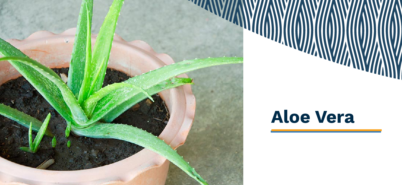 Banner 03 - March 03